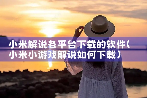 小米解说各平台下载的软件