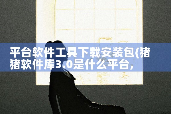 平台软件工具下载安装包